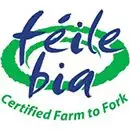 feile_bia_award_logo